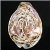 Image 1 : Handcarved Cowry Shell (SHL-000121)
