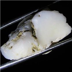 13.3ct Sudan Opal Rough  (GEM-029801A)