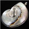 Image 1 : 200twc Filled Nautilus Sterling Pendant (JEW-003439)