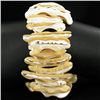 Image 1 : Stretch Shell/MOP Bracelet (JEW-004303)