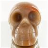 Image 1 : 1375ct Hand Carved Agate Skull (MIN-001713)