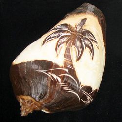 Handcarved Gastropod Shell (SHL-000159)
