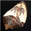 Image 1 : Handcarved Gastropod Shell (SHL-000159)