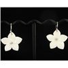 Image 1 : Handcrafted MOP Sterling Earrings (JEW-004409)