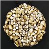 Image 1 : Crocheted Shell Pendant Necklace (JEW-004355)