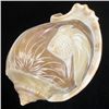 Image 1 : Handcarved Gastropod Shell (SHL-000153)