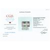 Image 2 : 4.29ct Watermelon Tourmaline Appraised $1372 (GEM-044220)