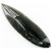Image 1 : 95gm Polished Orthoceras Large Fossil (MIN-001936)