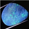 Image 1 : 8.75ct Australian Black Opal Doublet Full Fire (GEM-046575)