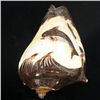 Image 1 : Handcarved Gastropod Shell (SHL-000170)