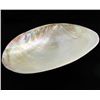 Image 1 : Shell Soapdish (DEC-000688)