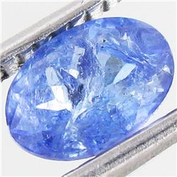 0.9ct Top Color Tanzanite Oval (GEM-038820)