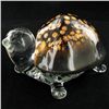 Image 1 : Handcrafted Glass Cowry Shell Turtle (DEC-000935A)
