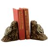 Image 1 : TURTLE BOOKENDS