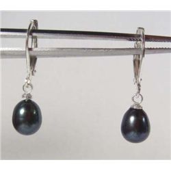 10490 - AKOYA BLACK PEARL EARRINGS