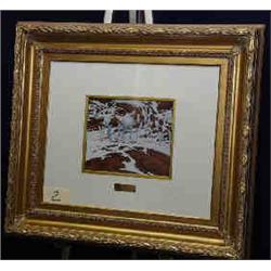 1 PRINT-BEV DOOLITTLE "PINTOS" EDITION 10" X 12"...