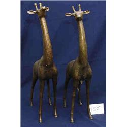 2 BRONZE-GIRAFFES 27"H X 13"L....