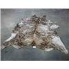 Image 1 : 1 COWHIDE-6'X6.8'....