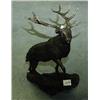 Image 1 : A 1 BRONZE BRONZE STAG CLIMBING 35"H, 26L....