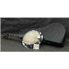 Image 1 : B 1 ENGLISH BANJO...
