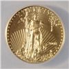 Image 2 : 2008 W $5 AMERICAN GOLD EAGLE ANACS SP 70!