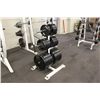Image 1 : SPARTACUS WEIGHT STAND WITH ASSORTED