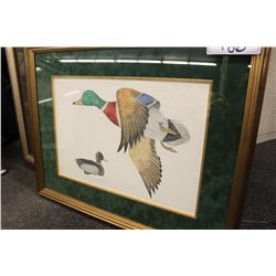 LARRY SAWFORD LIMITED EDITION PRINT "MALLARD"
