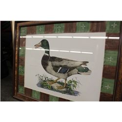 JOHN RICHARD "COMMON WILD DUCK"