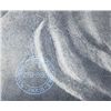 Image 2 : ANTIQUE GALLERY STAMPED LITHOGRAPH