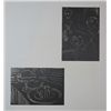 Image 2 : VINTAGE 1956 MATISSE LITHOGRAPH
