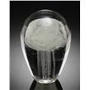 Image 1 : ART GLASS WHITE JELLYFISH GLOW IN THE DARK