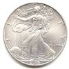 Image 1 : Uncirculated Silver Eagle 2008