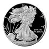 Image 1 : Proof Silver Eagle 2002-W