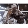 Image 2 : SIGNED-By Both Boxers! Shavers & Holmes PSA/DNA