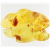 Image 1 : 50ct Large Amber Chunk With Inclusions (MIN-001606)