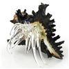 Image 1 : Hand Formed Glass Hermit Crab (DEC-000550)