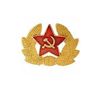 Image 1 : Russian Badge Lapel Pin