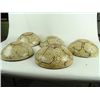 Image 7 : 5 Shipibo Pottery Bowls