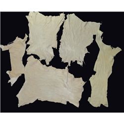Buckskin Hides