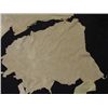 Image 3 : Buckskin Hides