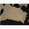 Image 4 : Buckskin Hides