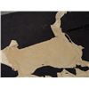 Image 5 : Buckskin Hides