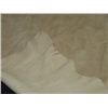Image 7 : Buckskin Hides