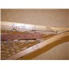 Image 3 : Huron Snowshoes