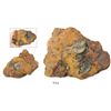 Image 1 : Large clump of over a dozen English East India Co. copper X cash of 1803 embedded in impacted mud th