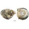 Image 1 : Thai Sawankhalok celadon bowl encrusted with oysters, ex-Hatcher.