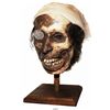 Image 1 : Hand-crafted mummified pirate head by local artist Barry Anderson.