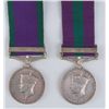 Image 1 : 1945-48: Palestine General Service Medals to Army Service Corps units