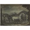 Image 1 : c. 1760: Early Horse Racing mezzotint of Sir Edward O'Brien's horse Miss Doe