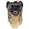 Image 3 : Hyenas - Hyena Costume